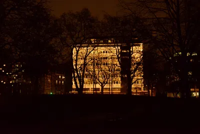 DSC_5965 (Large).JPG